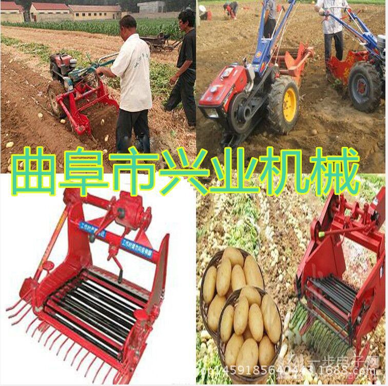 手扶车带动的收获机 收获机厂家 新款二合一型马铃薯收获机