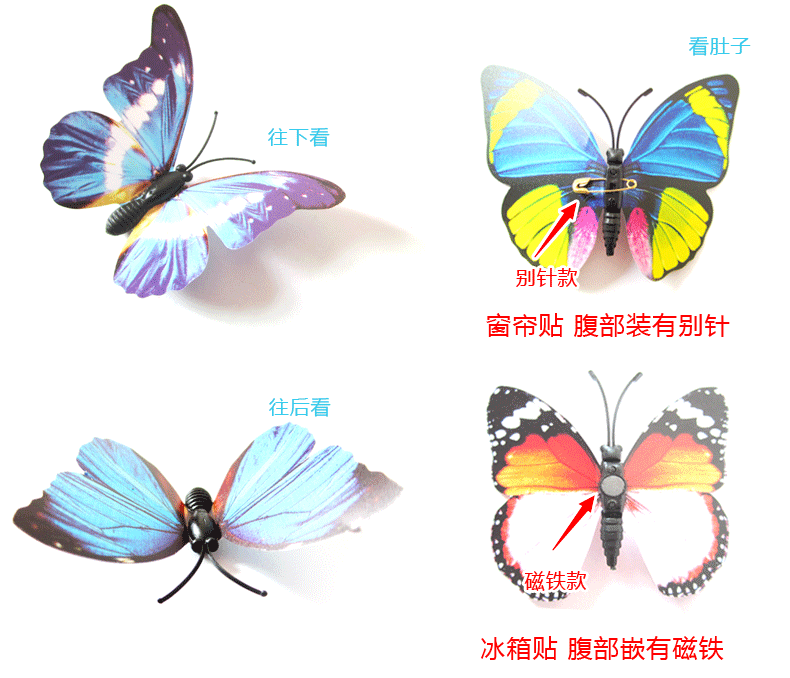 彩色蝴蝶PVC_02