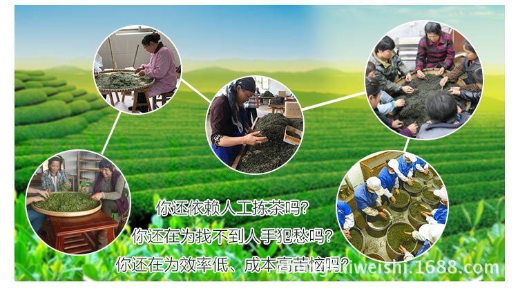 双层四通道茶叶色选机_01