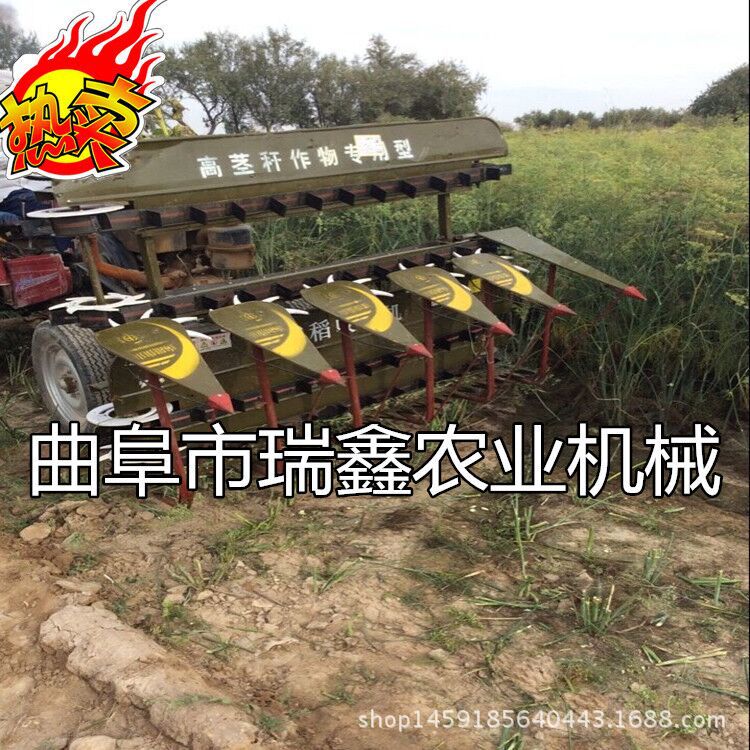 QQ�DƬ20160406105304 - ���� - ����