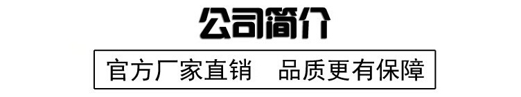 公司簡介