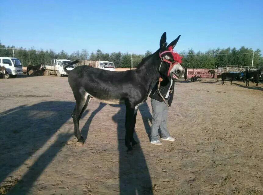 QQ图片20160303161241