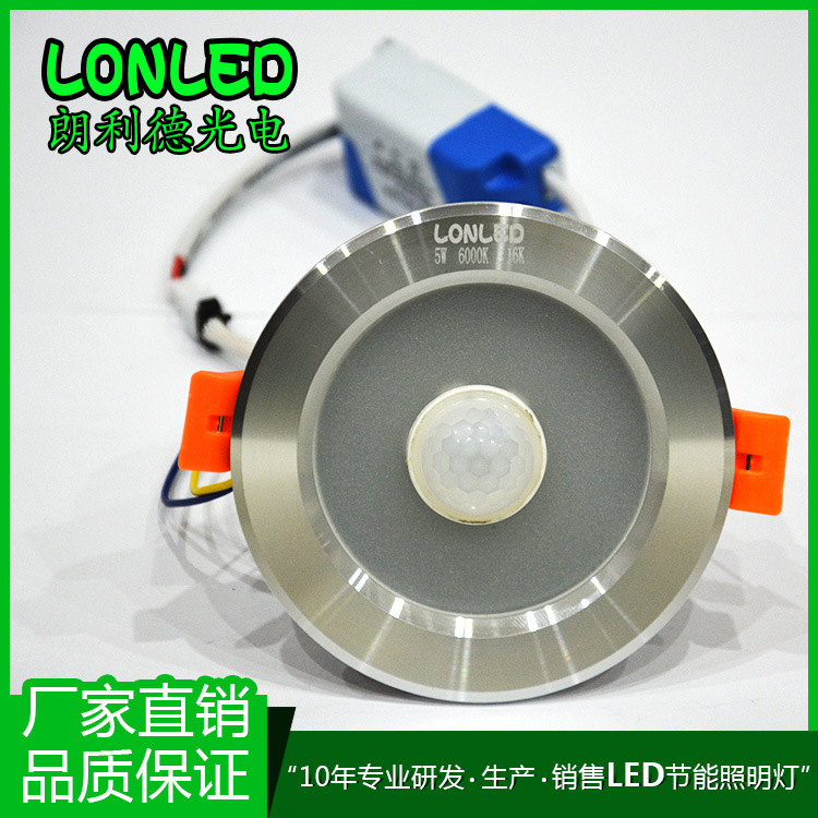 direct deal LED Induction lamp LED emergency lamp Flats Hotel Ceiling human body Induction Down lamp