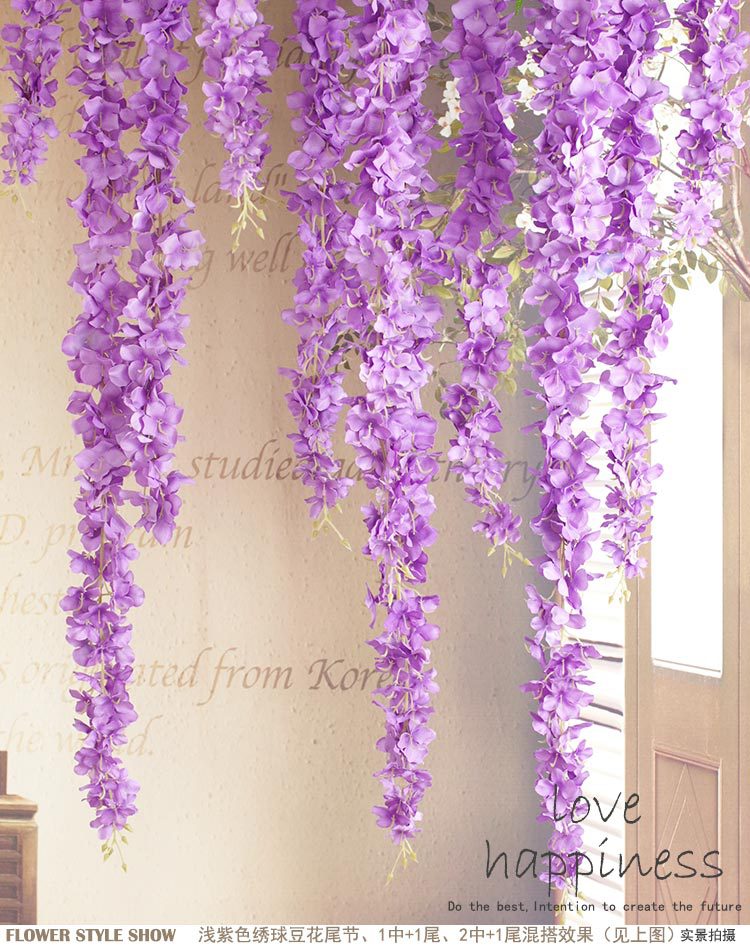 绣球豆花（单节）_29