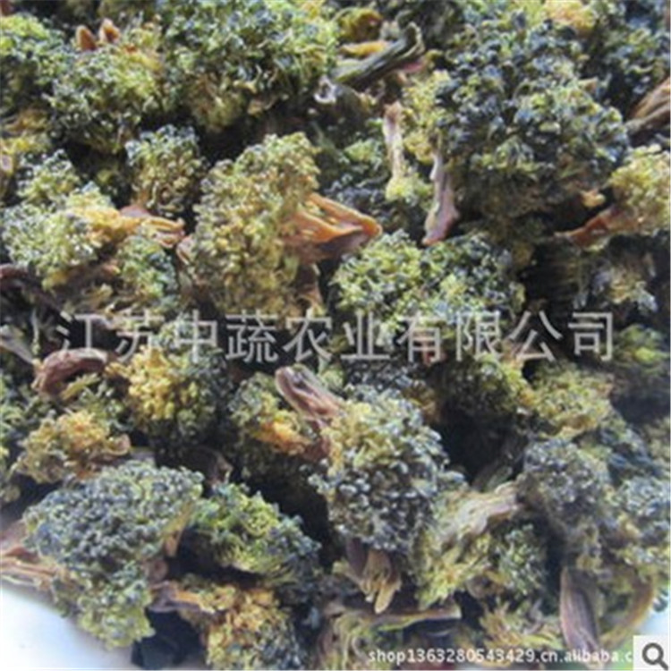 西兰花干 江苏 目西兰花粉速冻脱水批发