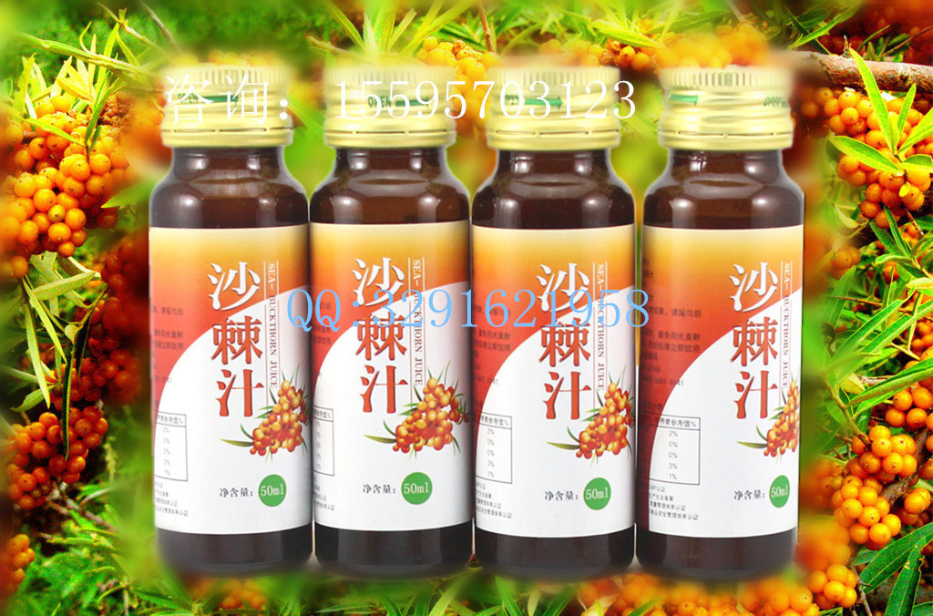 沙棘汁饮品加工_副本