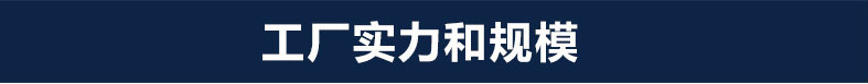 工厂实力和规模