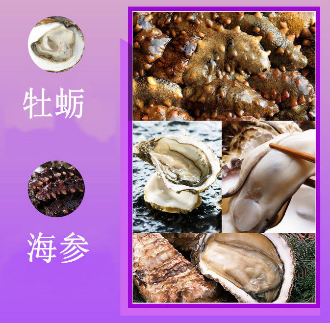 海参牡蛎片代加工_conew1