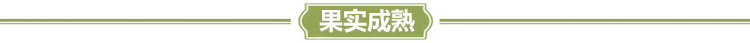 迟熟南华李_13