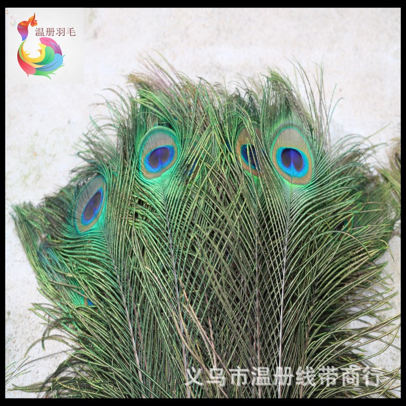 温册羽毛现货大量销售孔雀毛70-80cm印度天然兰孔雀开屏尾加长详情图10
