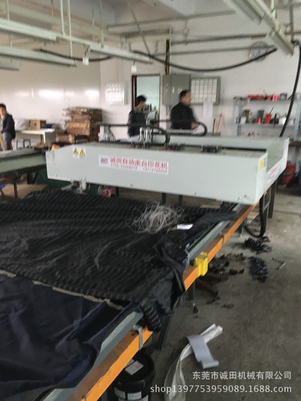 手机图片IMG_4653