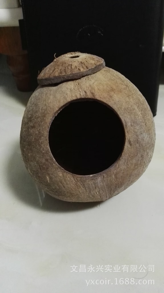 椰子壳鸟窝