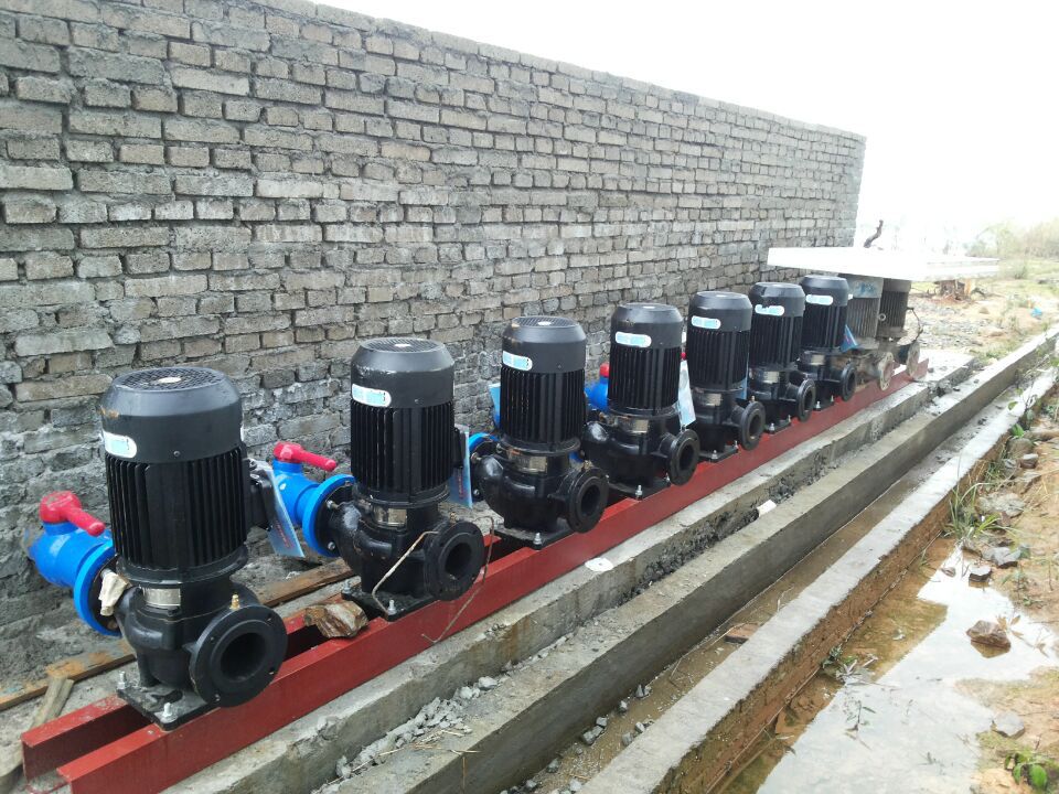 QQ图片20160528081603