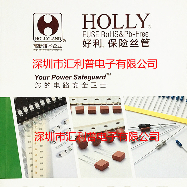 hollyfuse好利来30TS-050H1H2L5A250V125V350V/3X10保险丝