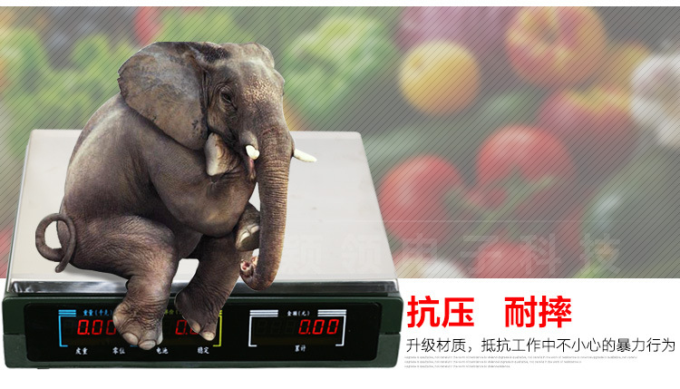 大华电子秤ACS15-30KG_10