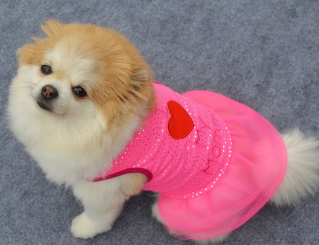 Comfortable Pet Vest