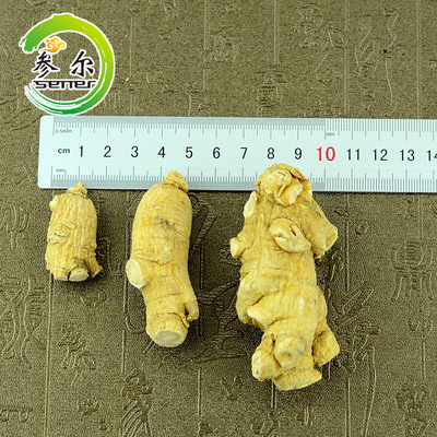 产地货源西洋参东北特产长白山6年根软支西洋参段手工精选西洋参