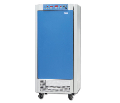 生物光照培养箱 KRG-300A 厂家直销  两面光照