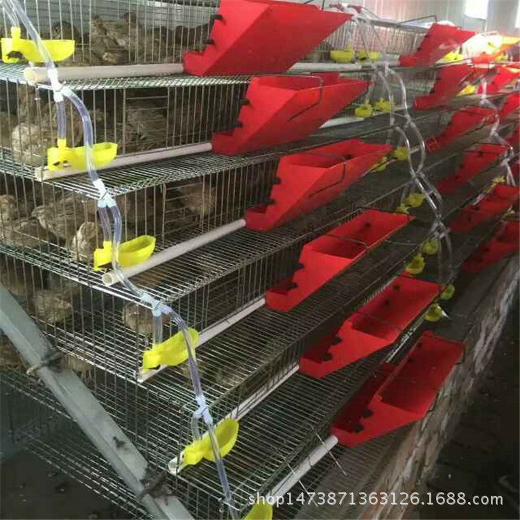 wxid_1d84370q6sml22_1474373129