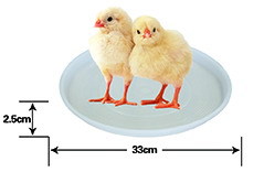 养鸡用 开食盘 直径33cm