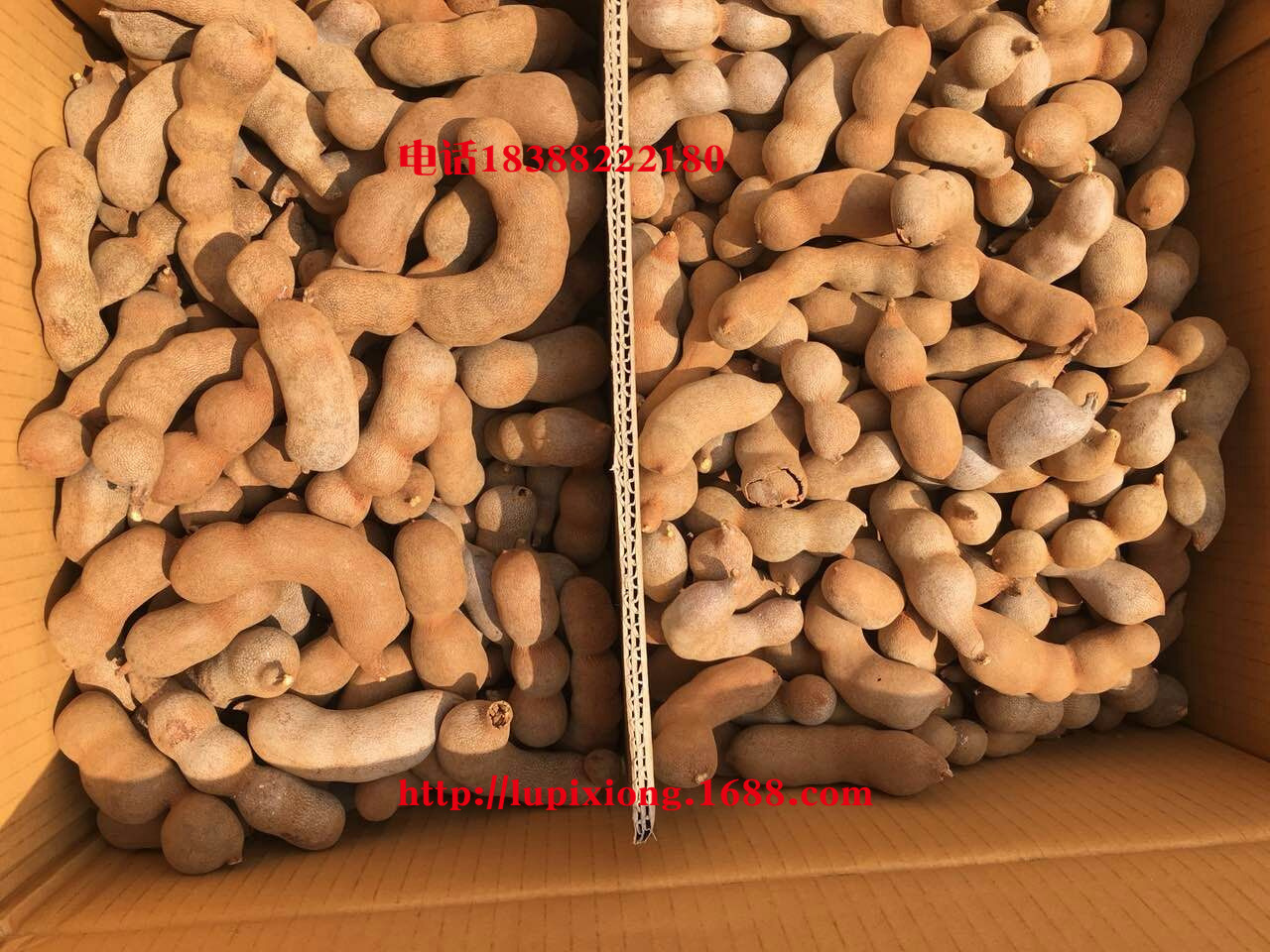 mmexport1456723055608