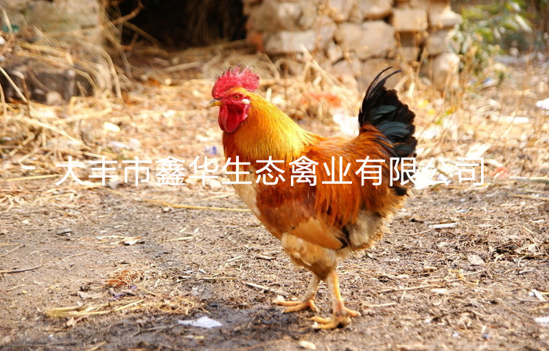 改1 4