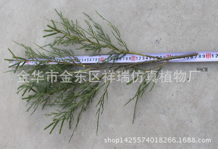 XRB-145沉柳叶5叉枝