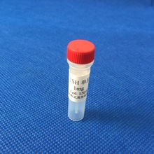 �ټנ�����(TSH)�ο�¡���w