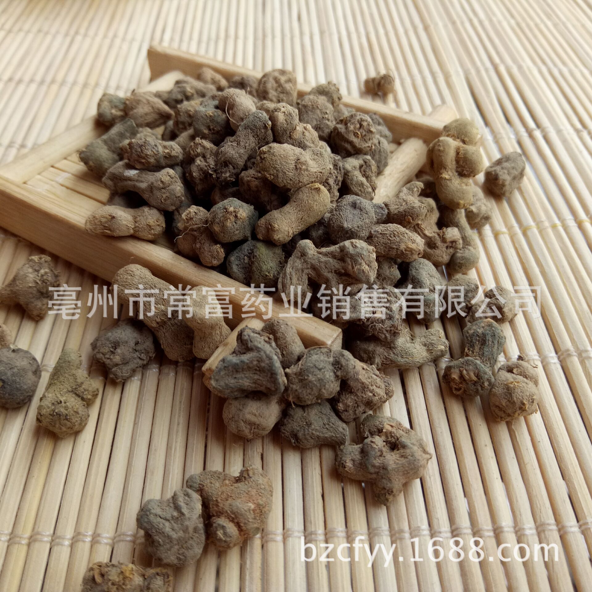 Xia Tian Wu Dried Corydalis Decumbens Root 500g Traditional Chinese Herb for Decoction and Herbal Tea key features