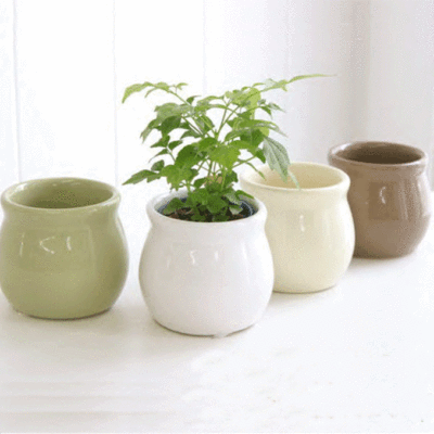 Small potted Flower pot Succulent Pots 4 colors High temperature porcelain Perforated