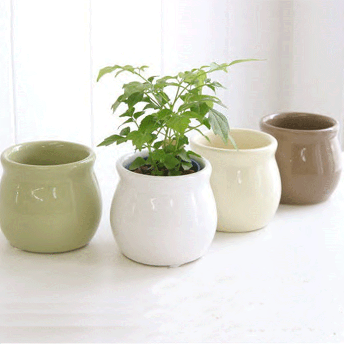 Small potted Flower pot Succulent Pots 4 colors High temperature porcelain Perforated