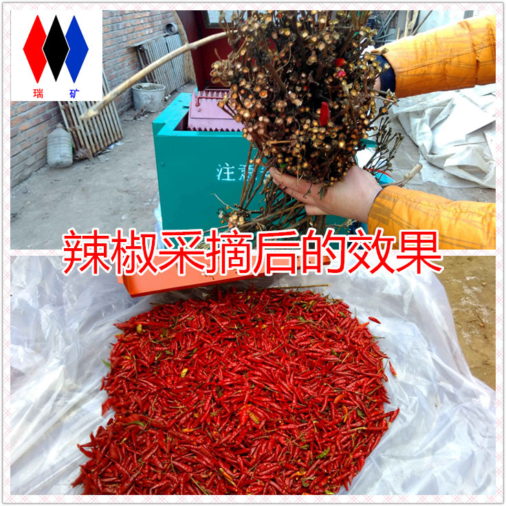 448365927222378111_副本