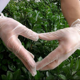 一次性PVC塑料手套美发工业劳保加厚有粉光面厂家直供无粉批发