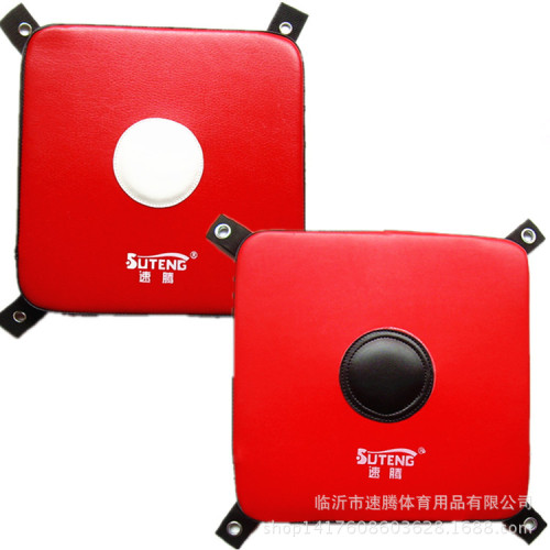 Sagitar small imitation leather wall target solid wall target wall sandbag Sanda boxing training square target