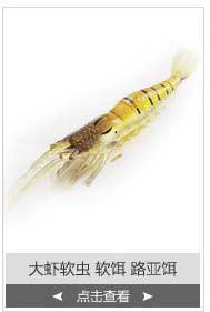 纳百川1688模板01_06