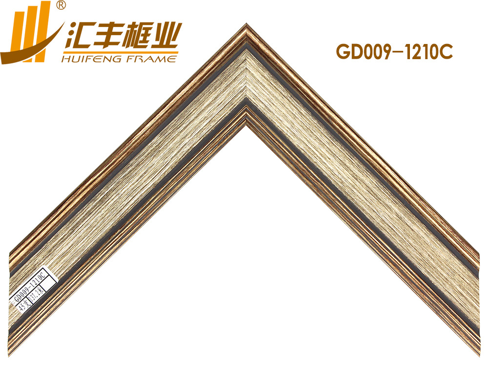 GD009-1210C正面 副本