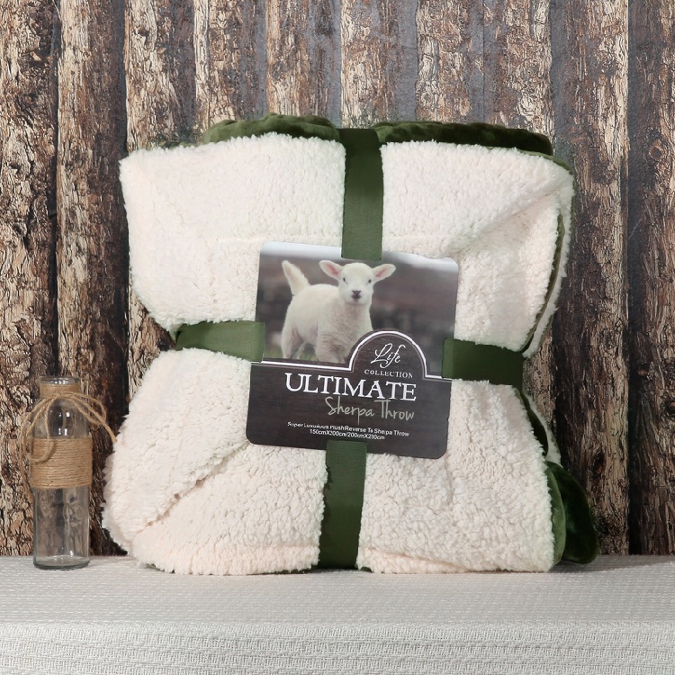 Directo de fábrica de doble capa de lana de cordero manta de franela engrosada coral polar manta de color sólido impreso LOGO al por mayor