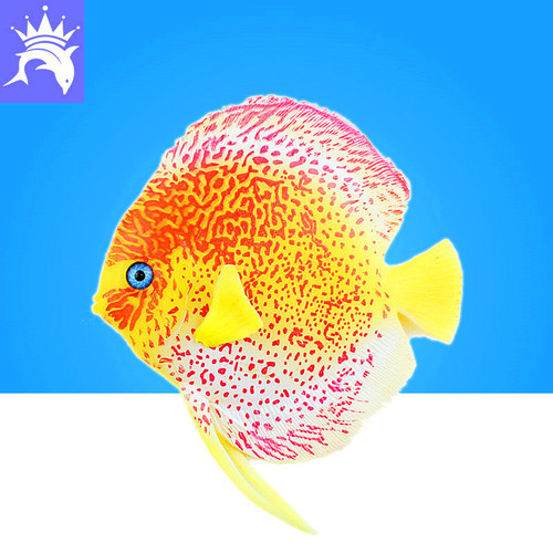 Fish tank decoration, simulated tropical fish, aquarium luminous plastic fish, 2016 colorful angel fish