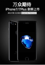 适用苹果6/6p手机钢化s5玻璃膜iPhone78plus手机保护4g膜xr现货