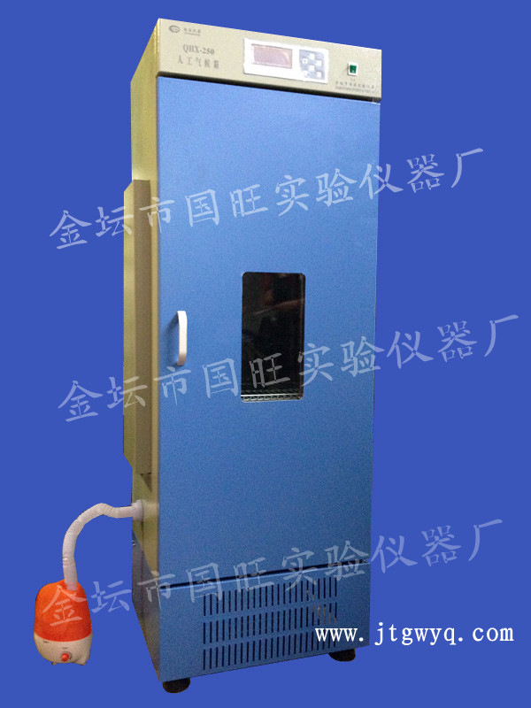 QHX-250智能人工气候箱 人工气候箱250L