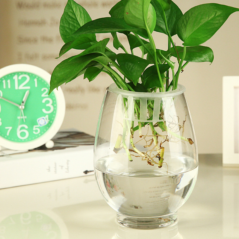 Transparent hydroponic vase glass hydroponic flower glass vase dinosaur egg glass vase green vase