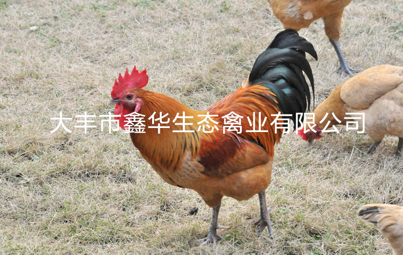 改1 5