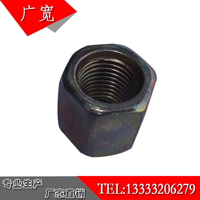 供应不锈钢碳钢螺母，六角螺母，加厚六角螺帽，高强度定制螺母