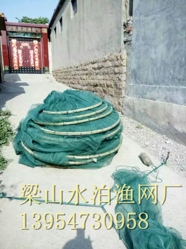 9FF83EECE2B65B096EA534024D1C50