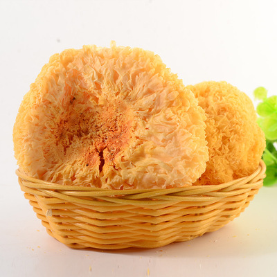 古田銀耳幹貨醜耳稠耳白木耳雪耳新鮮黃金耳産地直供散裝批發500g