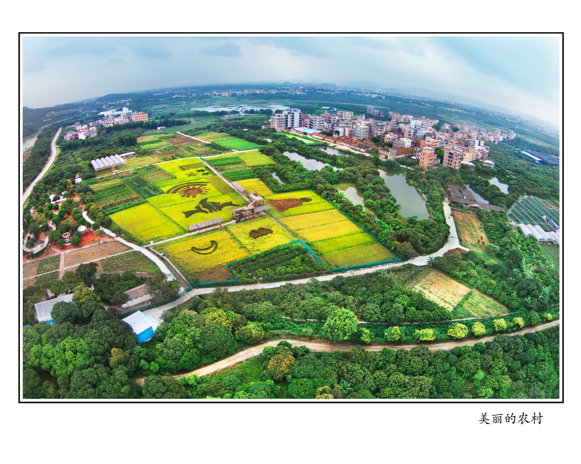 美丽的农村_调整大小