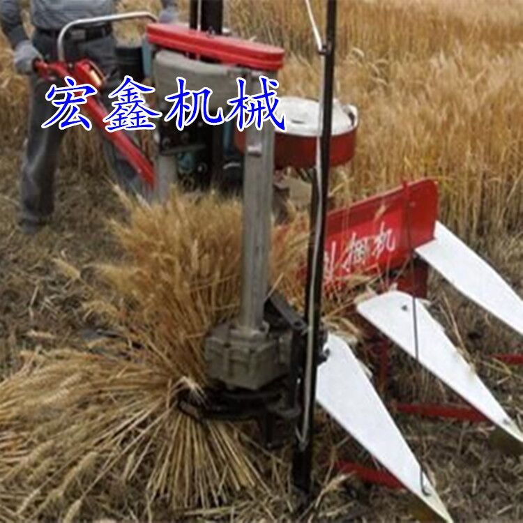 QQ图片20160405164448