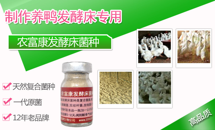 发酵床养鸭