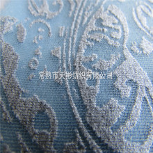 秋季烂花空气层  烧花夹丝太空棉 高档服装面料 现货