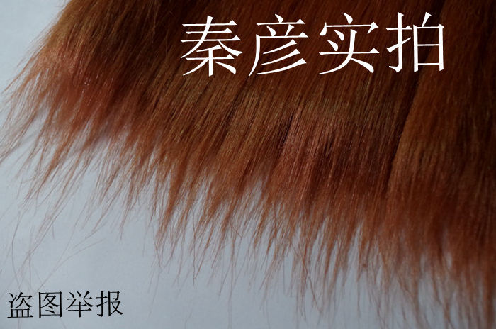 IMGP8981_副本_副本